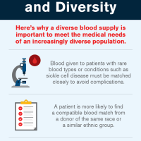 Infographic - Blood Donors and Diversity